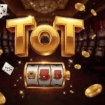 tot55 game