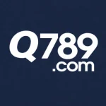Q789 Game logo image
